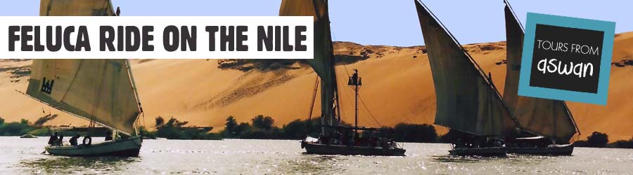 4days Nile cruise